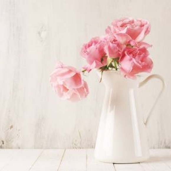 Meet your Posher, Gloria - Picture 1 of 1